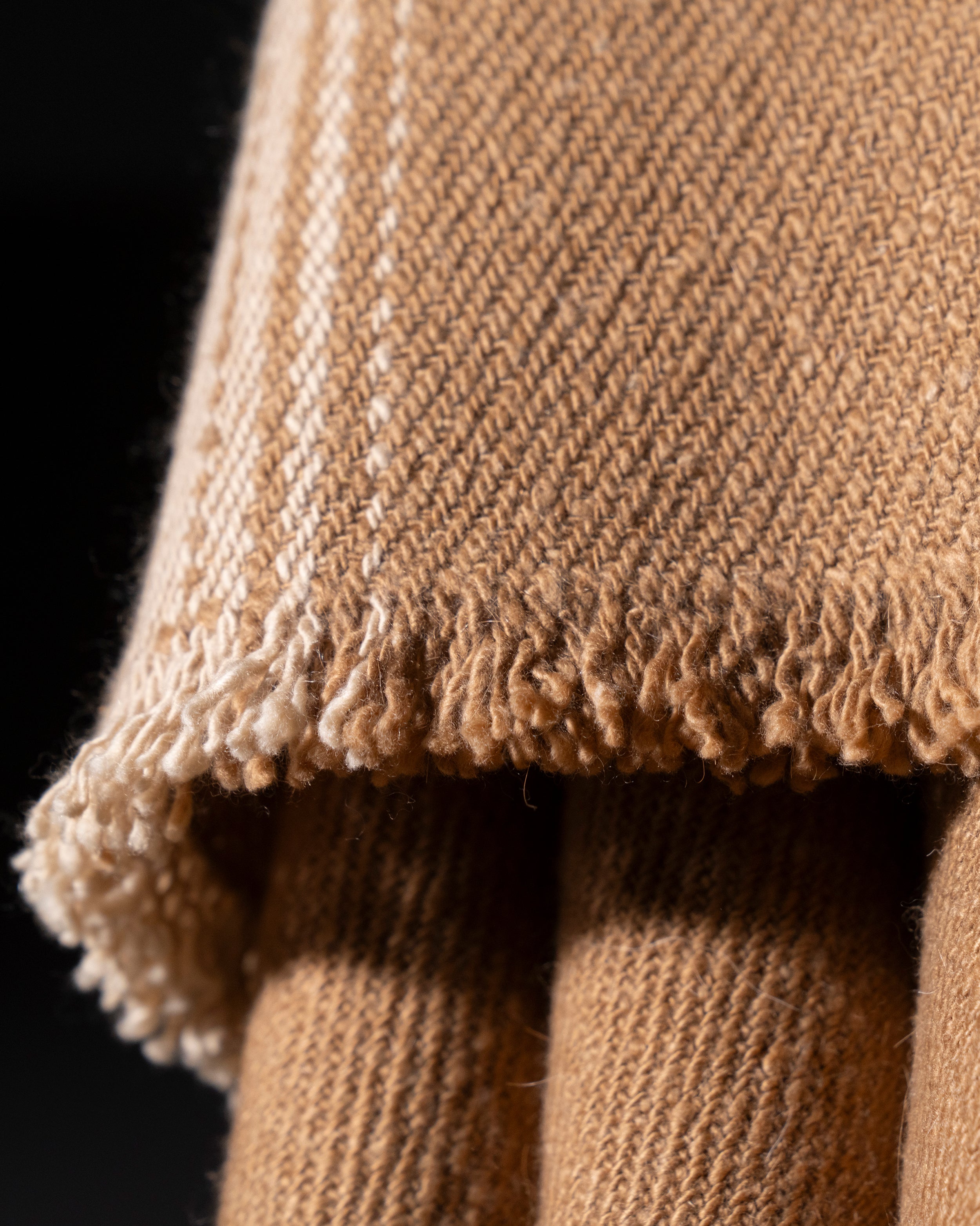 VICUÑA AUSTRAL - vicuña