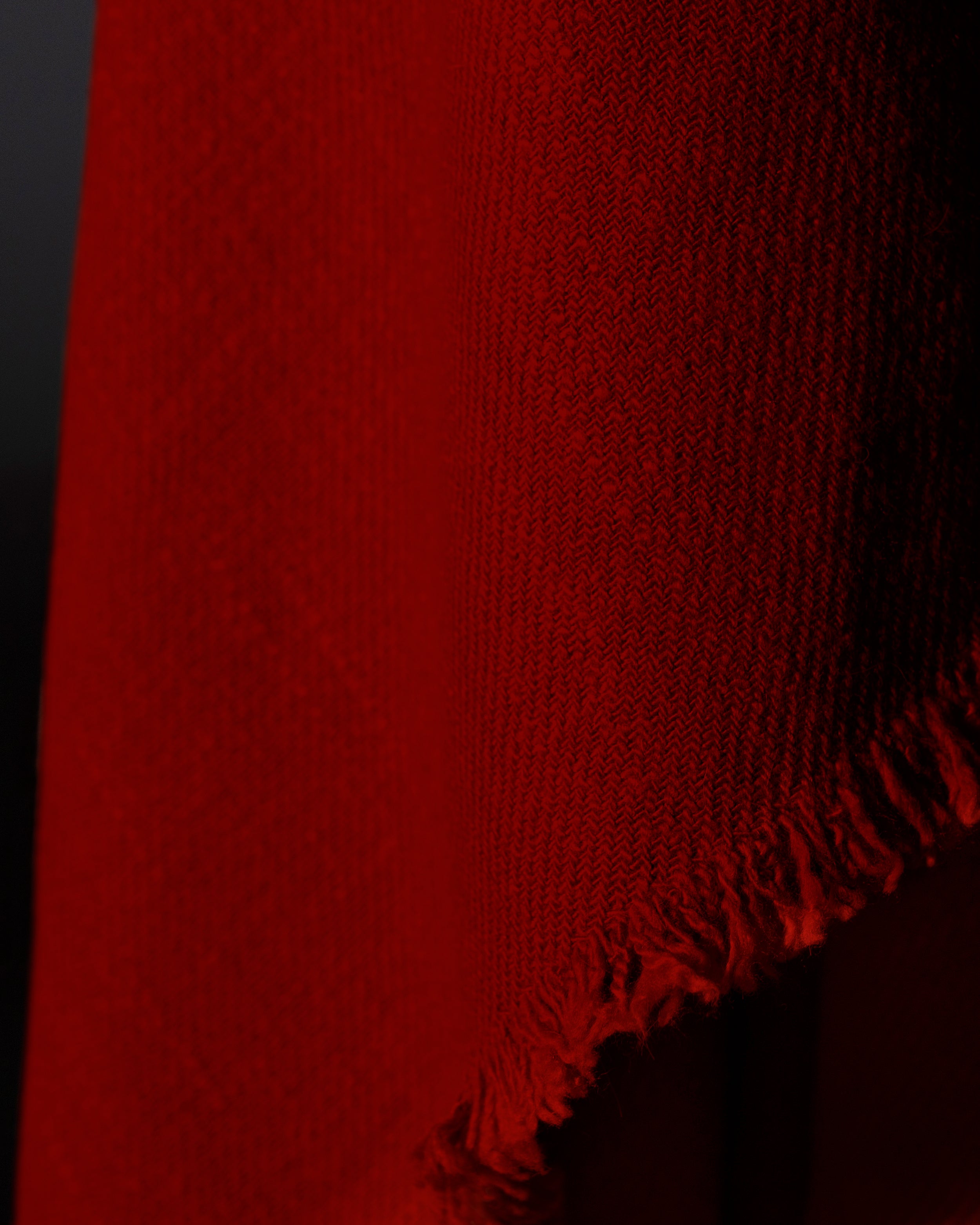 VICUÑA ROJA - vicuña