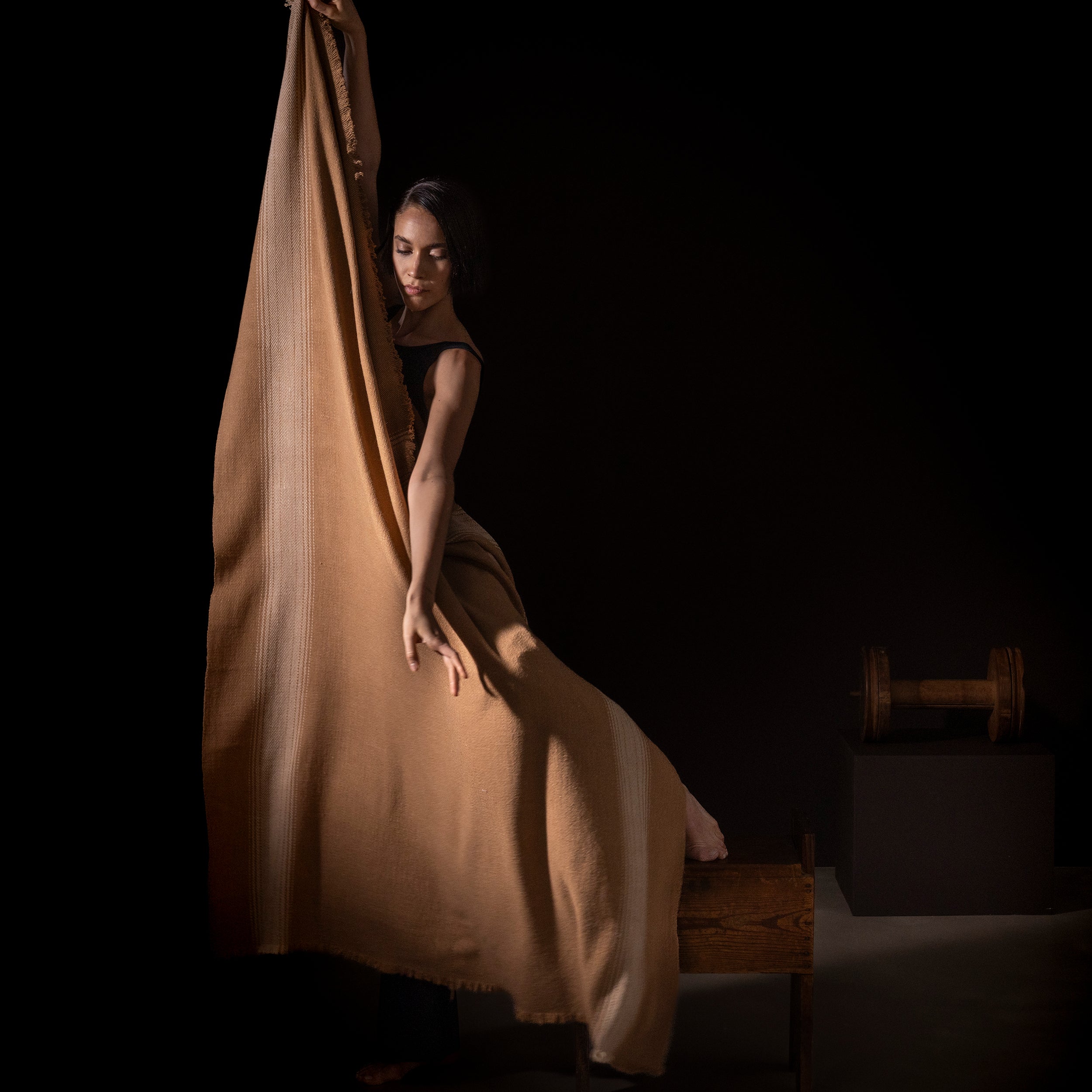 Vicuña Blankets