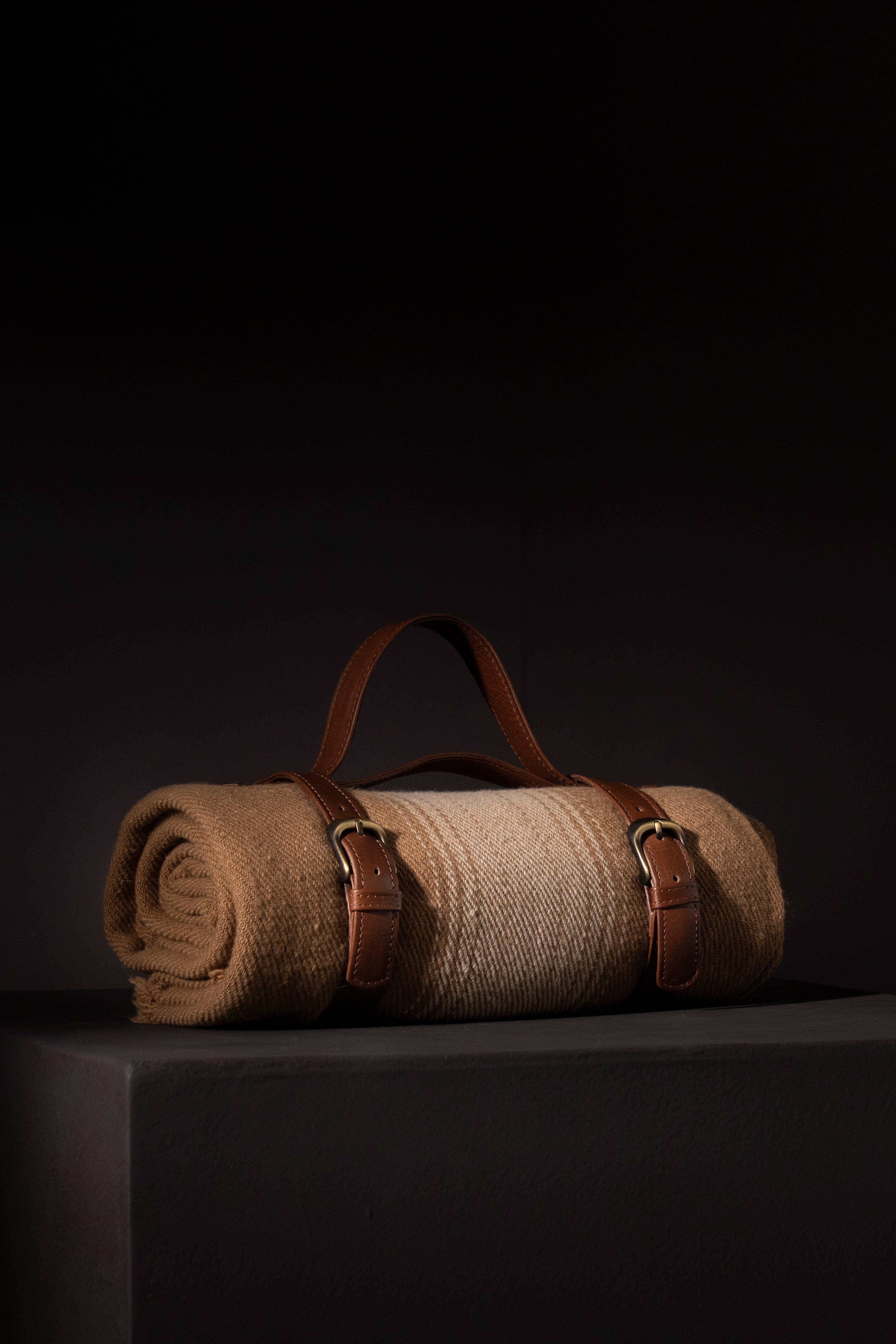VICUÑA AUSTRAL - vicuña