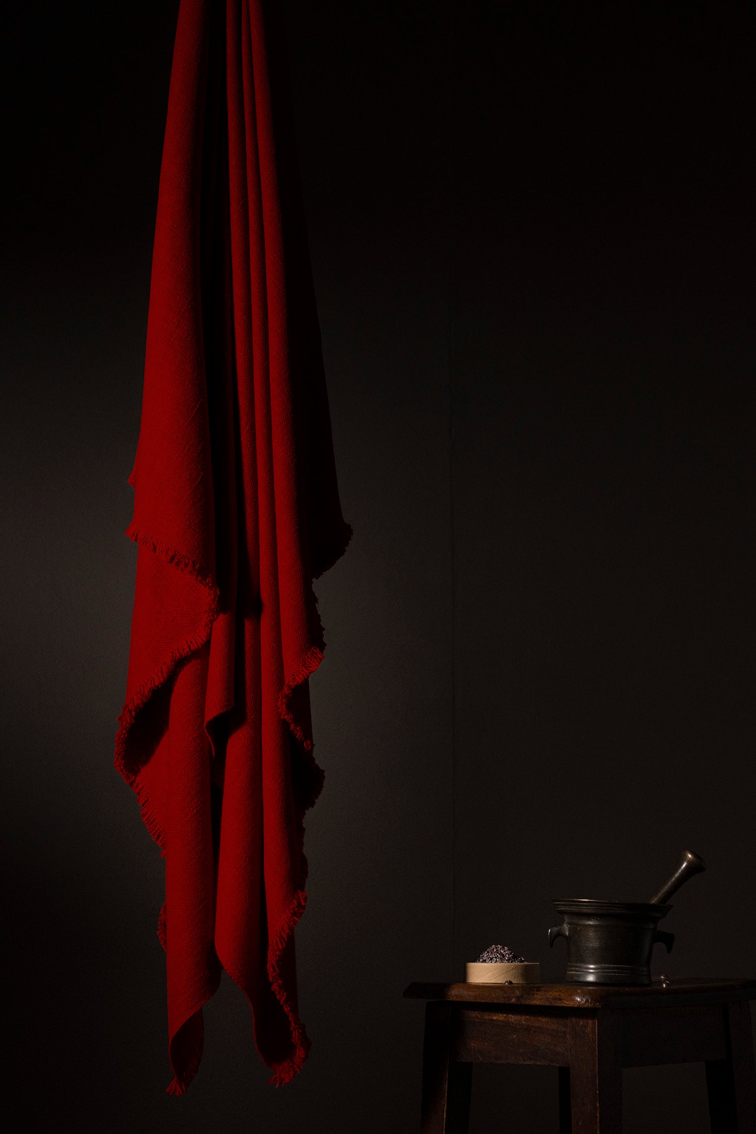 VICUÑA ROJA - vicuña